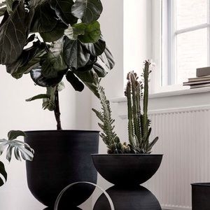 Meet your Posher, Ghost and guru